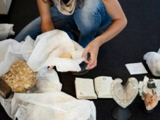 work in progress, elena mazzi exploring the storage of the museum
