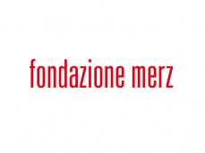 merz foundation