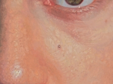 Gabriele grones, untitled, oil on wood, 50x40 cm, 2011, photo a. montresor (detail)