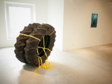 Michele Bazzana Prana, 2009, ruote, 160x160x80 cm - Courtesy SpazioA Gallery, Pistoia, foto giacomo de dona