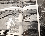 cristian chironi, cutter, (le alpi; hymalaia; dolomiti; monte bianco) libri d'artista intagliati a mano, misure differenti per ciascuno, courtesy dell'artista, 2010-11, foto a. montresor