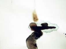 denis riva, acrilico, china, lievito madre su carta bruciata, (part.) - foto courtesy dell'artista