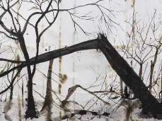denis riva, dopo l'incendio, acrilico, china e lievito madre su carta bruciata, 600x150 cm, (part.) - courtesy dell'artista