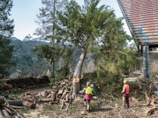 Ditte boschive in azione all'ex Villaggio Eni, esbosco e pulizia_aprile 2019_Foto Nicola Noro
