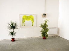 Federico Lanaro, ZEBRA, acrilico su legno, 100x70 cm, 2012