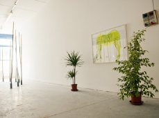 Federico Lanaro, ZEBRA, acrilico su legno, 100x70 cm, 2012