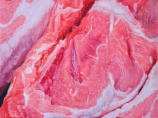 gabriele grones, meat, olio su tela, cm 25x16,5 , 2013