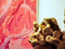 gabriele grones, meat, olio su tela, cm 25x16,5 , 2013
