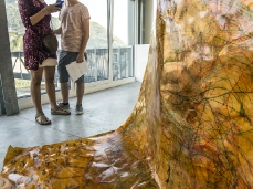giuseppe abate, qua, installazione, tecnica mista su carta, 150x250 cm, 2014, foto di giacomo de dona'