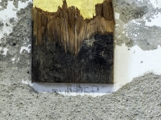 mattia bosco - Icona (Sezione aurea) - foto giacomo de donà