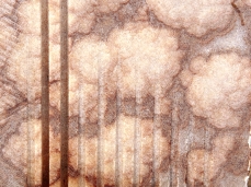 silvia vendramel, autoritratto in forma di pietra (part), 2013, onice, legno, vetro, acqua, 54x48x7 cm - foto giacomo de donà