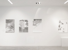 To'non ignà - Veronica De Giovanelli - Litogènesi_installation view - agosto settembre 2015 - foto dell'artista