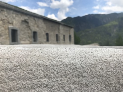 D-Shape Monte Ricco