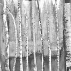lucia veronesi_la casa nella foresta_frame_roccedimenti