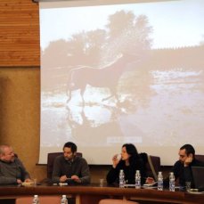 il mio studio è tra i boschi - 12 gennaio 2014 - sala consiliare del comune di erto e casso - da sinistra daniele capra, gianluca d\'incà levis, tiziana pers, giovanni gaggia