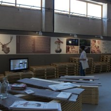 dc-expodolomiti-stand-con-cason-marmipallets-dolomiti-nextlongarone-fierefoto-a-montresor-1