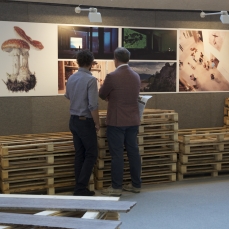 dc-expodolomiti-stand-con-cason-marmipallets-dolomiti-nextlongarone-fierefoto-a-montresor-10