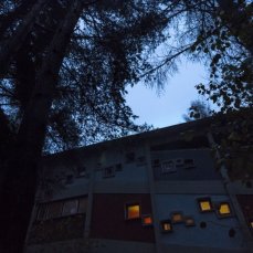colonia illuminata - foto giacomo de dona\'