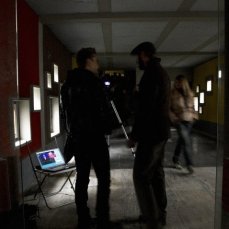 in colonia, alula magna (cagol) - Foto Sergio Casagrande