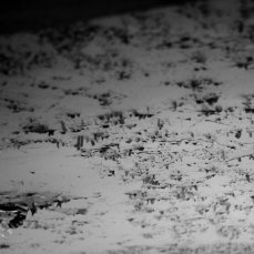 Stefano Moras, \"Schmetterlinssaule\" - Foto: Brando Prizzon