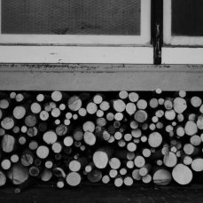 Open-studio: legne - Foto: Brando Prizzon