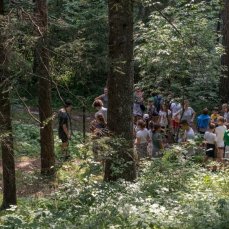 11 luglio 2015, lancio dc2015 terraformazione dalla stazione di borca_foto giacomo de donà