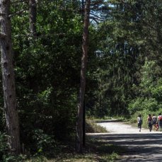 11 luglio 2015, lancio dc2015 terraformazione dalla stazione di borca_foto giacomo de donà