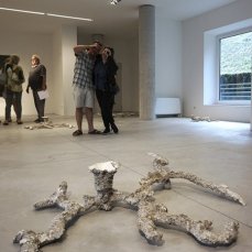 Opening Fibra flessa/Senteri non-euclidei_Foto Cinzia Gallina