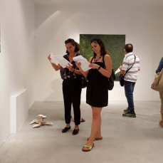 Opening Fibra flessa/Senteri non-euclidei