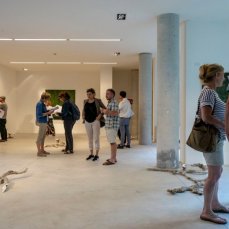 Opening Fibra flessa/Senteri non-euclidei