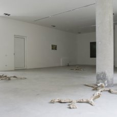 Alberto Scodro a Casso