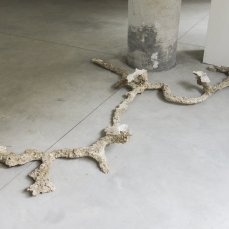 Alberto Scodro a Casso