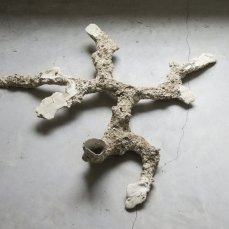 Alberto Scodro a Casso