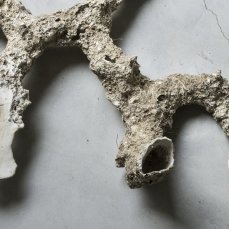 Alberto Scodro a Casso