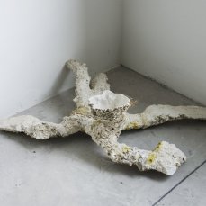 Alberto Scodro a Casso