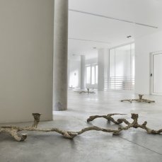 Alberto Scodro a Casso
