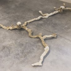 Alberto Scodro a Casso