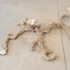 alberto scodro - moles (ciupinara) - sentieri non euclidei - foto: giacomo de donà