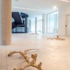 alberto scodro - moles (ciupinara) - sentieri non euclidei - foto: giacomo de donà