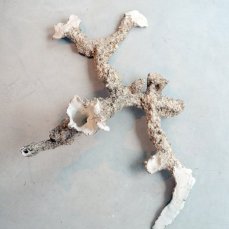 alberto scodro - moles (ciupinara) - sentieri non euclidei - foto: giacomo de donà