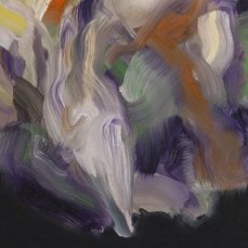 Alessandro Pagani, Cranium, 50x70 cm, olio su tela, 2011