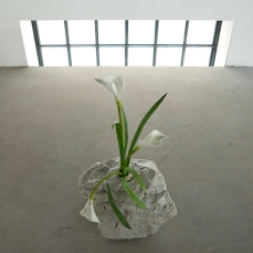 ikebana mon amour - foto a. montresor