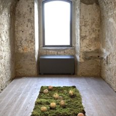 anna groaz - co-creazione - to be here and there - foto: evelyn leveghi