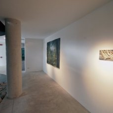 antonio bardino, paesaggio laterale, upokeimenon (sott\'acque) - foto giacomo de donà