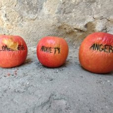 Quercino gressivo