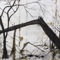 denis riva, dopo l\'incendio, acrilico, china e lievito madre su carta bruciata, 600x150 cm, (part.) - courtesy dell\'artista