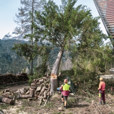 Ditte boschive in azione all\'ex Villaggio Eni, esbosco e pulizia_aprile 2019_Foto Nicola Noro