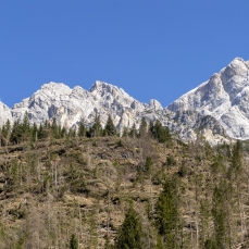Nas de Crepo, schianto raso, tutti a terra_Foto Nicola Noro