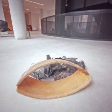 t-yong chung e jonathan vivacqua, molluschi buchi neri, 2010/2013, legno, catrame, gesso e mandarino, 50x40x30 cm - foto giacomo de donà