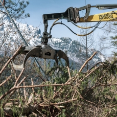 Cantiere di Vaia_aprile 2019_Foto Nicola Noro
